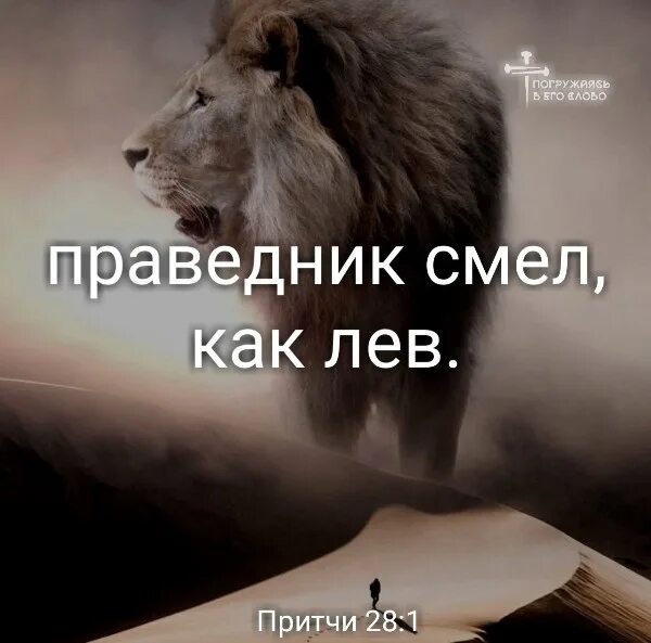 Праведник как Лев. Смел как Лев. Лев в Библии. Праведник смел как Лев картинки. Притча про льва