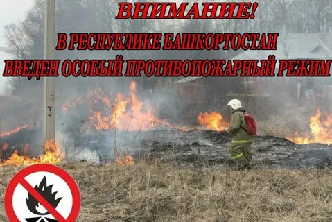 Пожароопасная ситуация