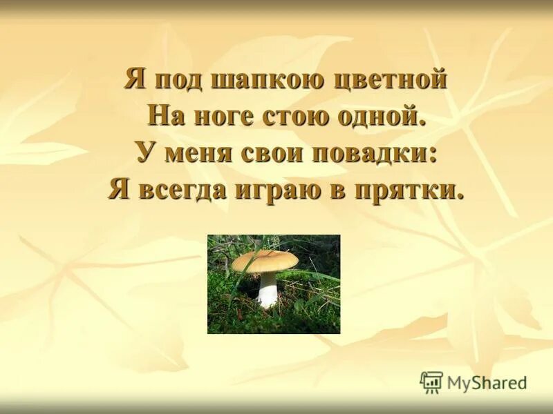 анекдот а вот и твоя шапочка. под шапкой текст. загадка я под шапкой цветной на ноге стою одной ответ. под шапкой текст. сладков н.