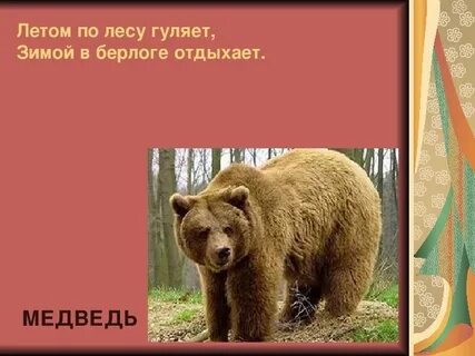 Летом гуляет зимой отдыхает
