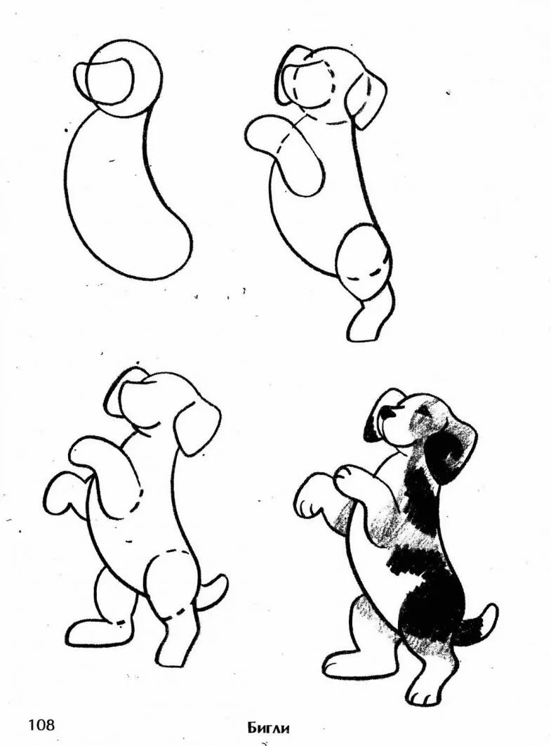 Животные рисунки легко нарисовать. Рисование животных для детей. Легкие рисунки. Рисунки пошагово. Поэтапное рисование собаки.
