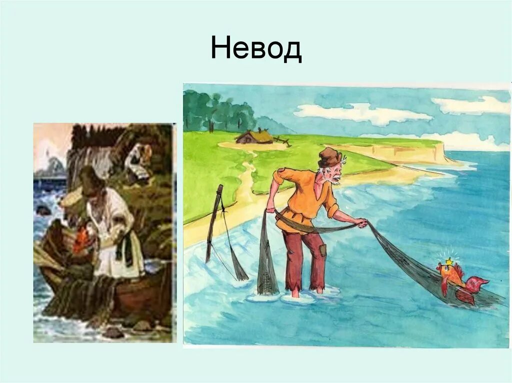 Рыбак с неводом. Невод из сказки. Невод это для детей. Рыбак невод иллюстрация. Рыбу ловят неводом падежи