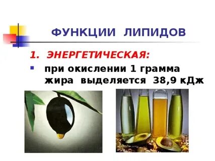 Окисление 1 грамма жира