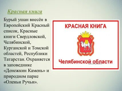 Книга про челябинскую область