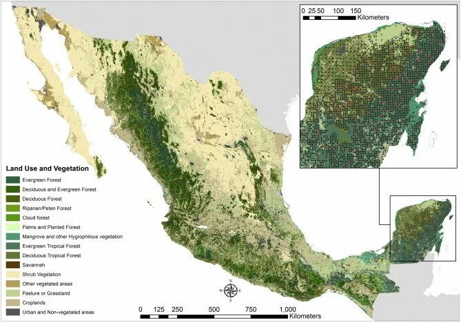 Vegetation and soils. Vegetation map oslo.