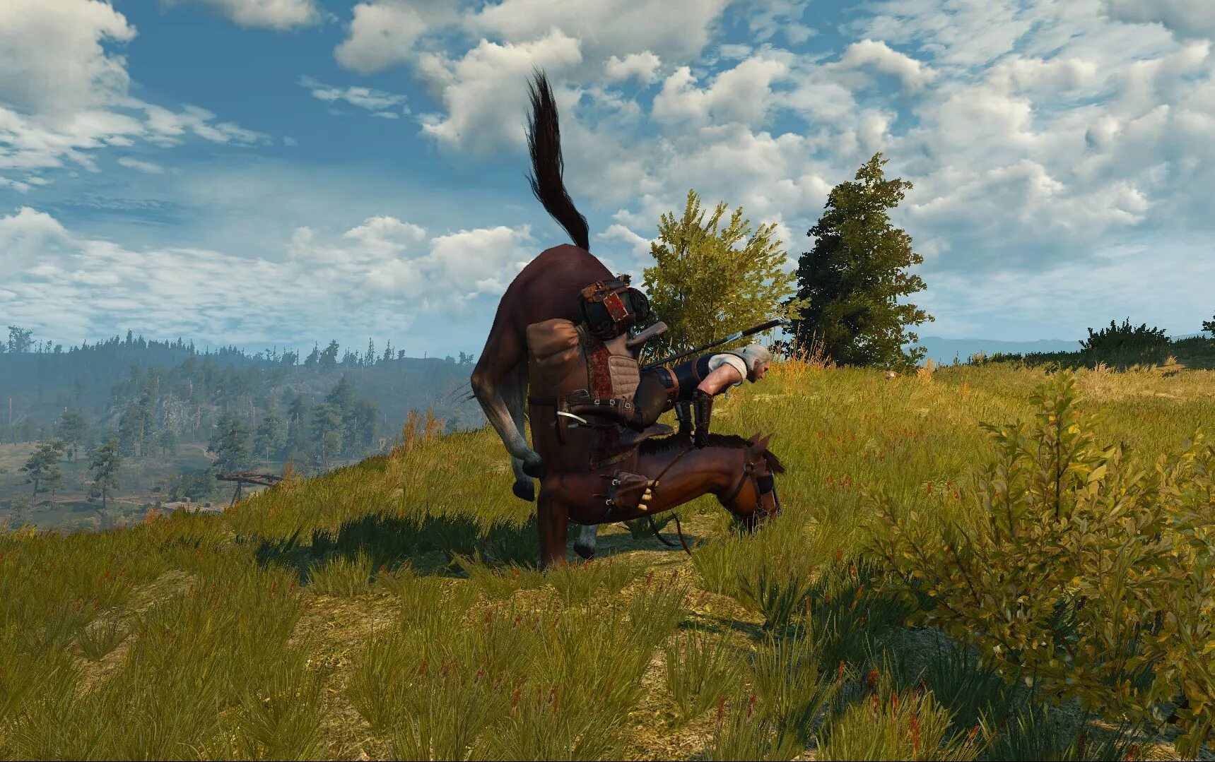Плотва квест ведьмак. The witcher 3 wild hunt плотва. геральт на плотве ведьмак 3. ведьмак 3 дикая охота плотва. плотва конь ведьмака.