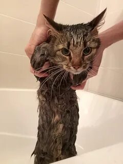 Супер мокрые