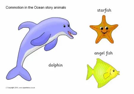 Ocean story