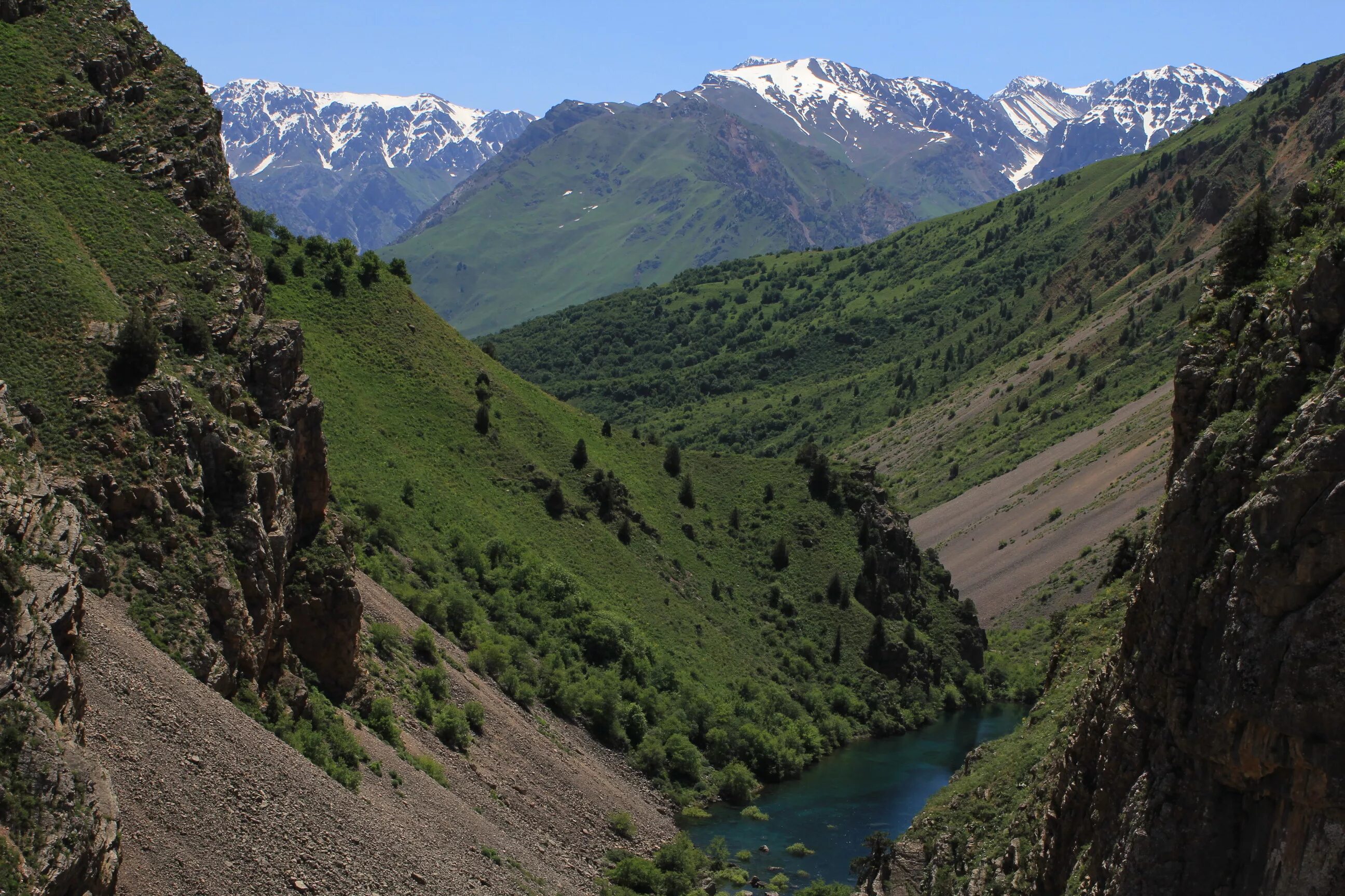 Чимган ташкент. Гора малый чимган узбекистан. Горы в ташкенте. Горы в ташкенте. Горы тянь-шань узбекистан чимган.