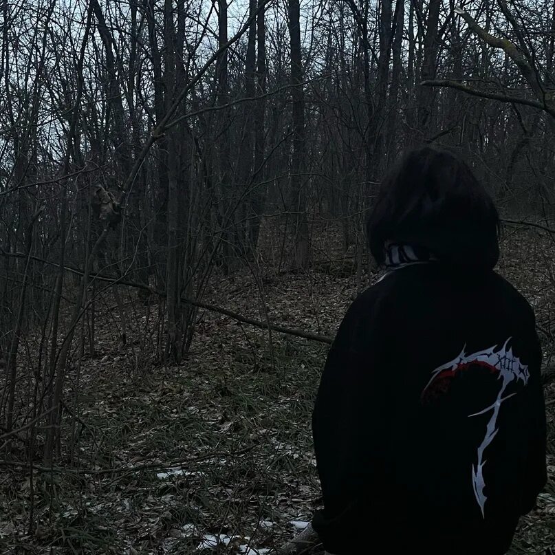 Ночное кладбище. Plush hoodie. Плюш худи hikikomori kai. Hope graveyard. Худи convulsive graveyard hopes.