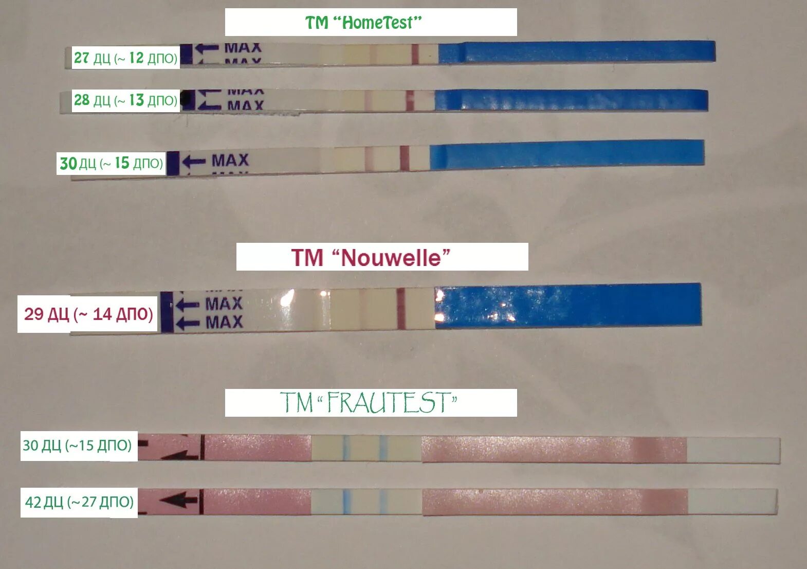 8 ДПО фраутест. Frautest на 10 ДПО. 11 ДПО фраутест. Фраутест на 12 день после овуляции. Заболела после овуляции