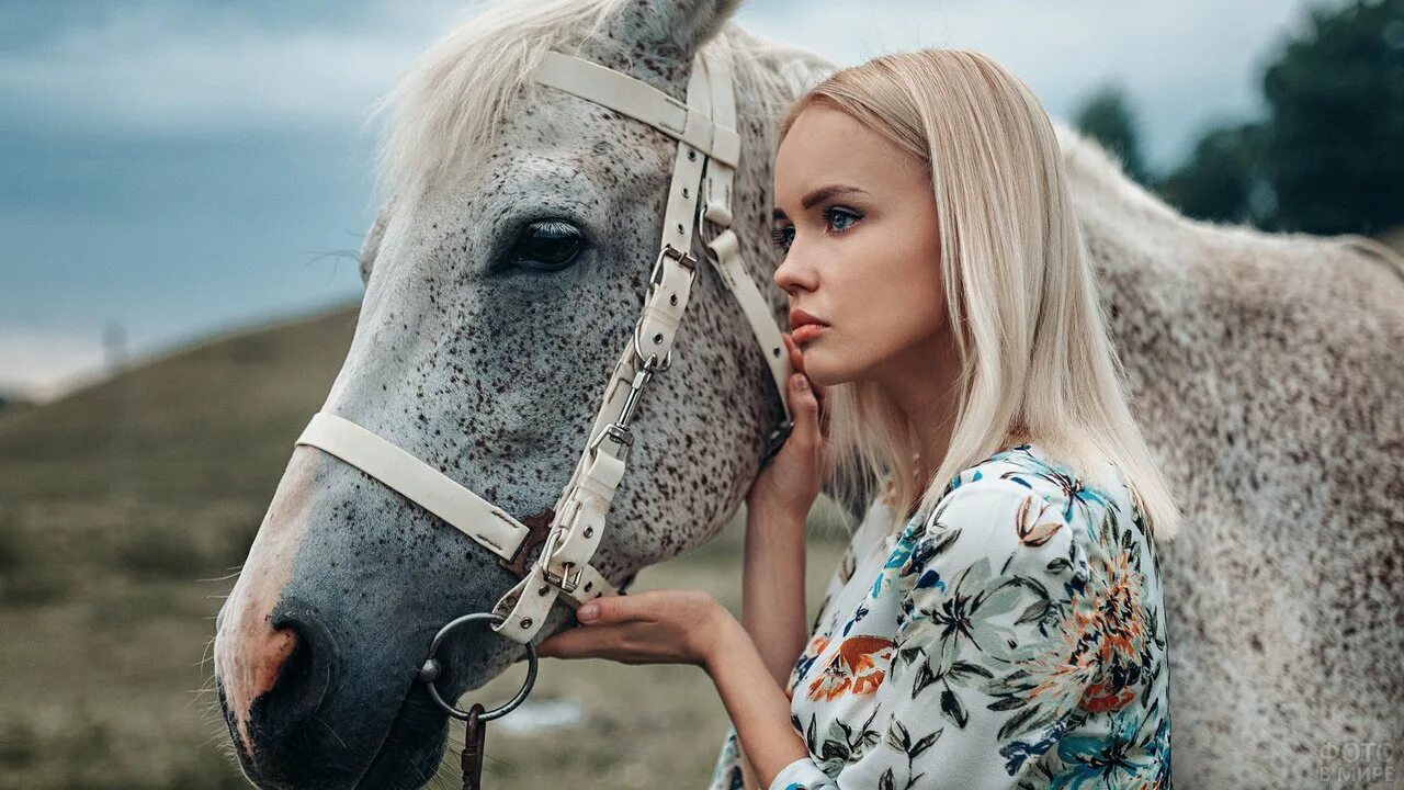 Девки и лошади. Фотосессия с лошадьми. Девушка с лошадью. Красивая девушка на лошади. Фотомодель на лошади.