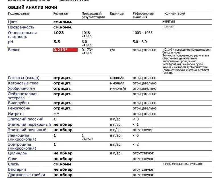 Какой белок мочи в норме. Анализ мочи нитриты 1+. Показатели белка в моче у детей 5 лет. Общий белок в моче 6 лет норма у ребенка. Нитриты в моче у ребенка 1 год.