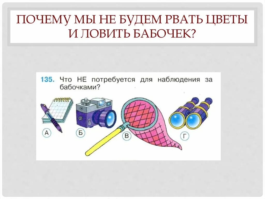 Почему нельзя рвать цветы и ловить бабочек. Задания почему мы не будем рвать цветы. почему мы не будем рвать цветы и ловить бабочек. почему мы не будем рвать цветы и ловить бабочек 1 класс задания. почему мы не будем рвать цветы и ловить бабочек задания.