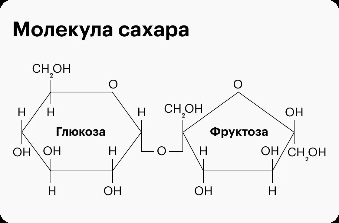 Фруктоза функции в организме. Глюкоза и фруктоза отличия. Отличие Глюкозы от фруктозы. Глюкоза сахароза фруктоза отличия. Глюкоза и фруктоза.