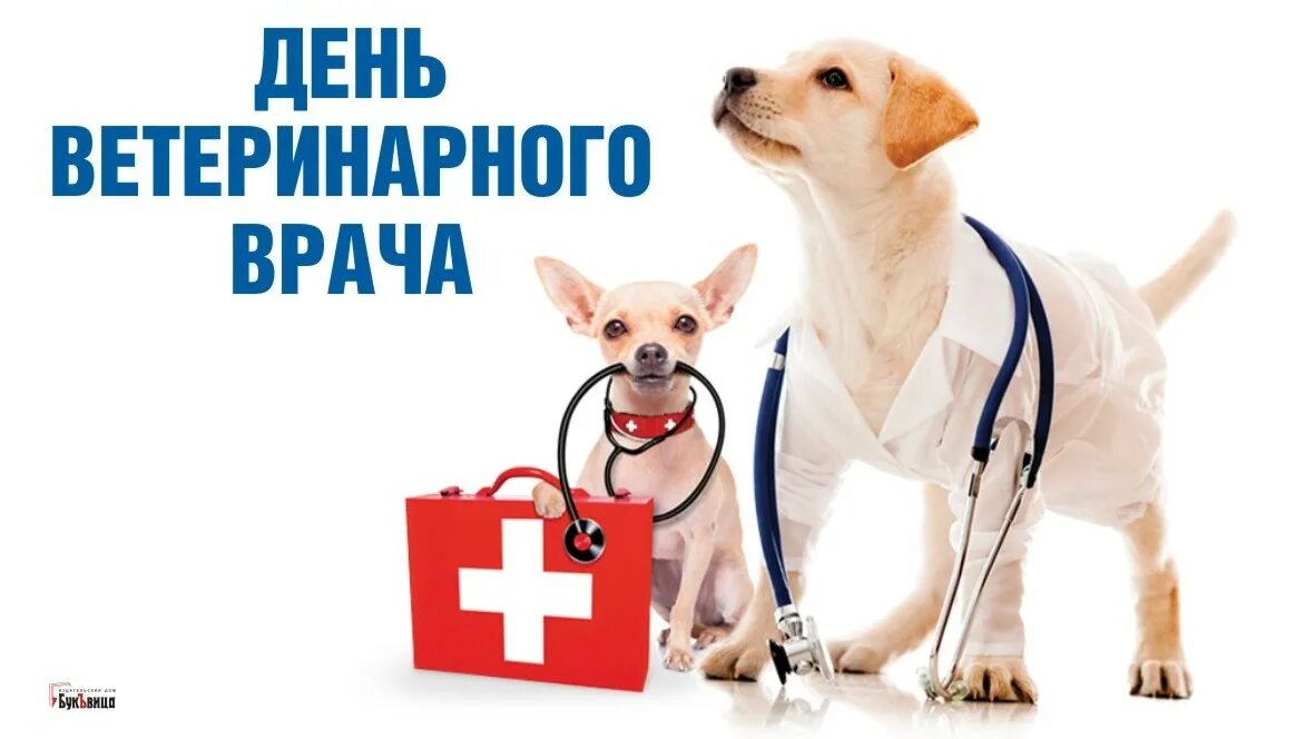 27 апреля международный день ветеринарного врача