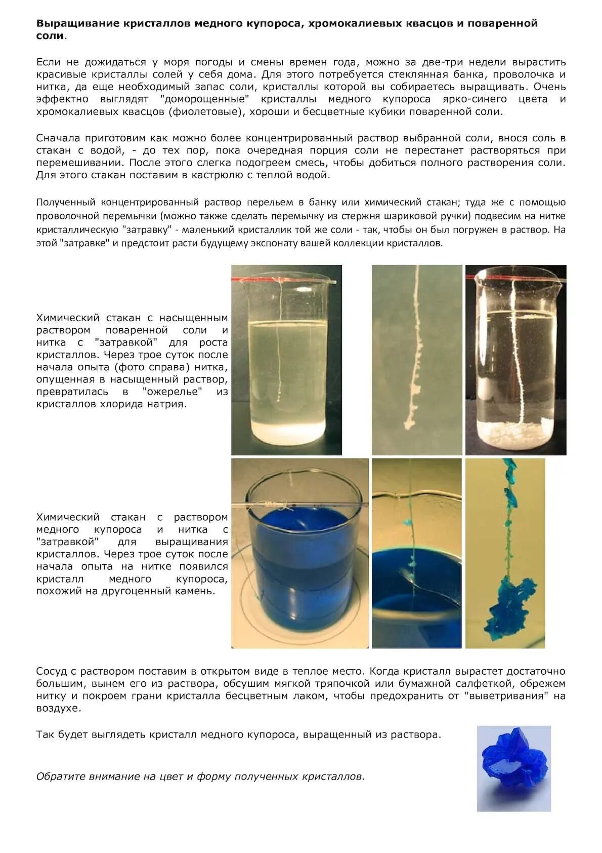Как сделать раствор медного купороса. Вырастить Кристалл из медного купороса и поваренной соли. Кристаллы из медного купороса и соли в домашних условиях. Эксперимент по выращиванию кристаллов поваренной соли. Инструкция по выращиванию кристаллов из соли.