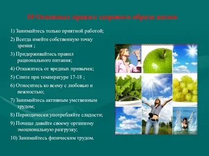 Зож 10