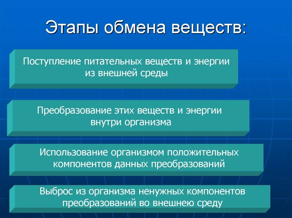 Три этапа обмена. Этапы обмена веществ. Этапы обмена веществ и энергии. Основные этапы обмена веществ в организме. Основные стадии обмена веществ.