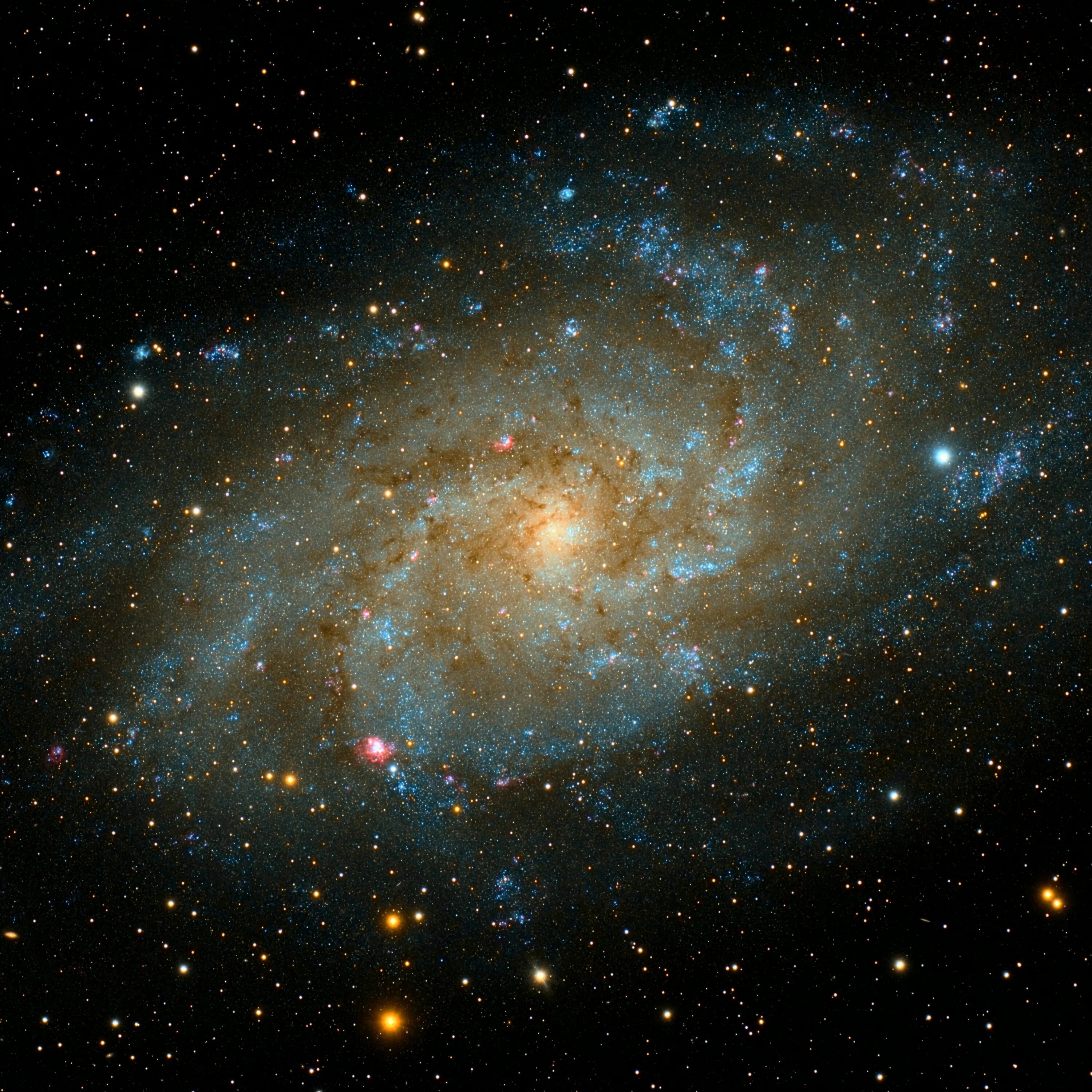 Новая звезда во вселенной рождается как часто. Галактика м33 планеты. Galaxy m33. Галактика м33 с земли. +Великий +аттрактор +Млечный +путь.
