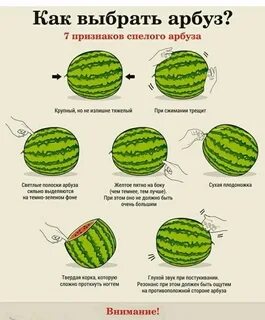 Тест какой ты арбуз