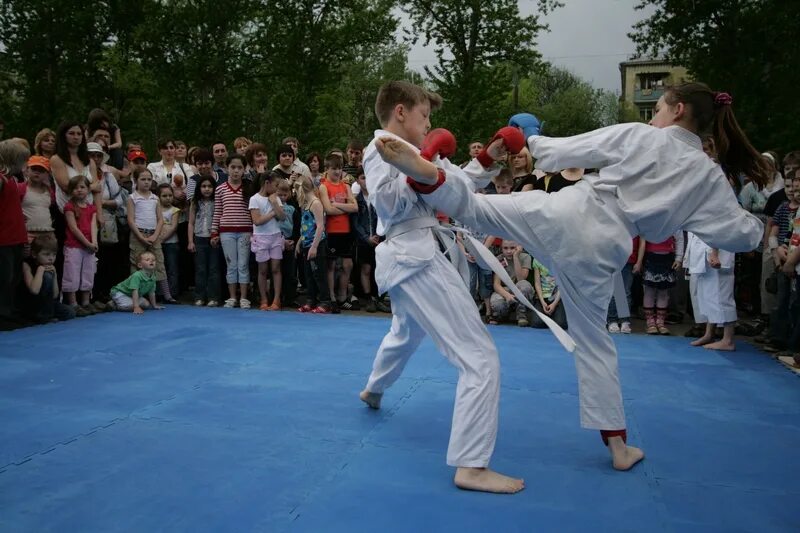 Спортивно патриотический клуб Барс. Клуб каратэ Барс. Патриотический спортивный клуб Москва. Сокол спортивно патриотический клуб.