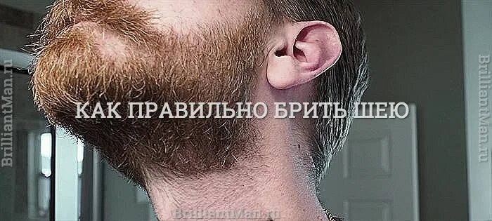 Как правильно бриться чтобы не было. Линия бороды на шее. правильное бритье шеи. линия бороды на шее правильная.
