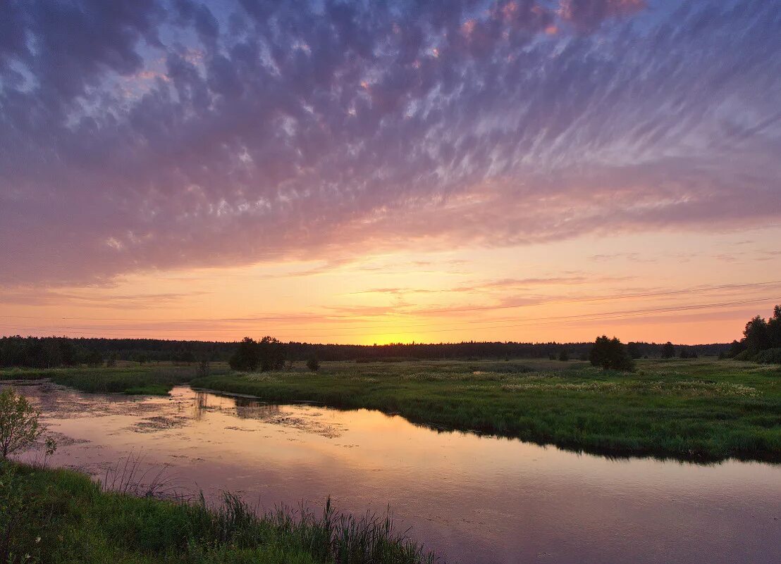 мещерская зандровая низменная равнина. мещерская равнина. верхневолжская и мещерская низменность. мещерская низменность в рязанской области. мещерская равнина.