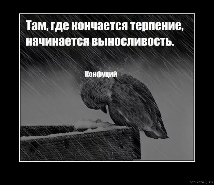 Терпение закончилось. Терпение кончается цитаты. Терпение заканчивается цитаты. Картинки когда заканчивается терпение. Про терпеливых