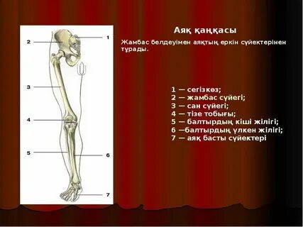 Мобильді қарау үшін каммингтегі қыздардың онлайн порно видеолары