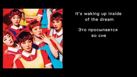 Everyone is dumb перевод