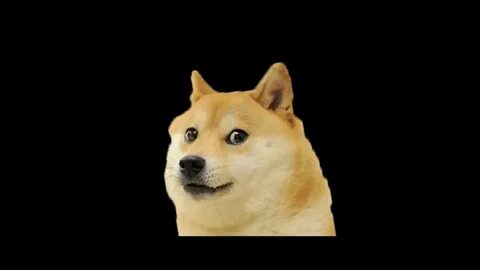 Мемная собака