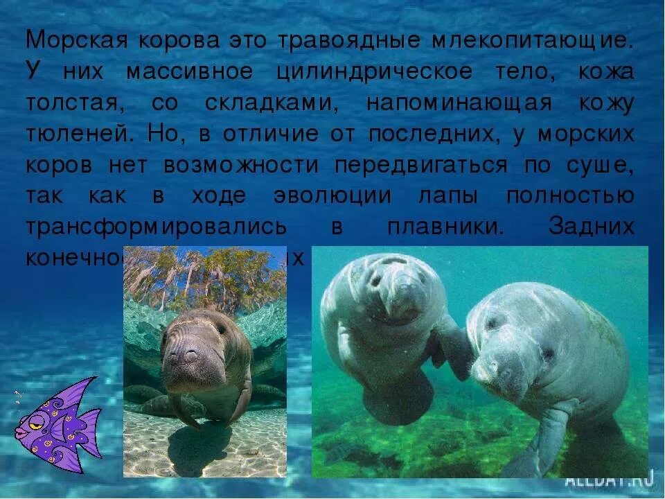 Красная книга Земли - презентация онлайн