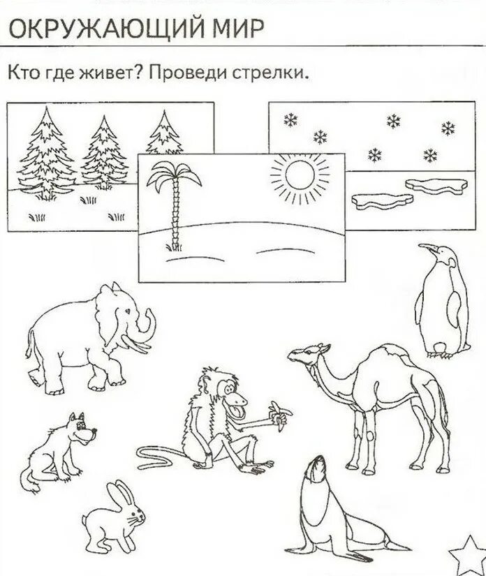 Задание для детей окружающий мир