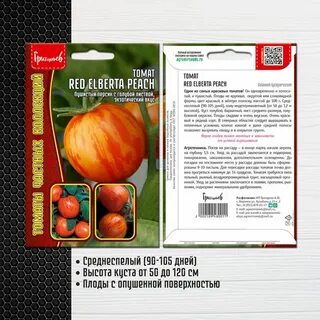 Томат красный дракон отзывы описание