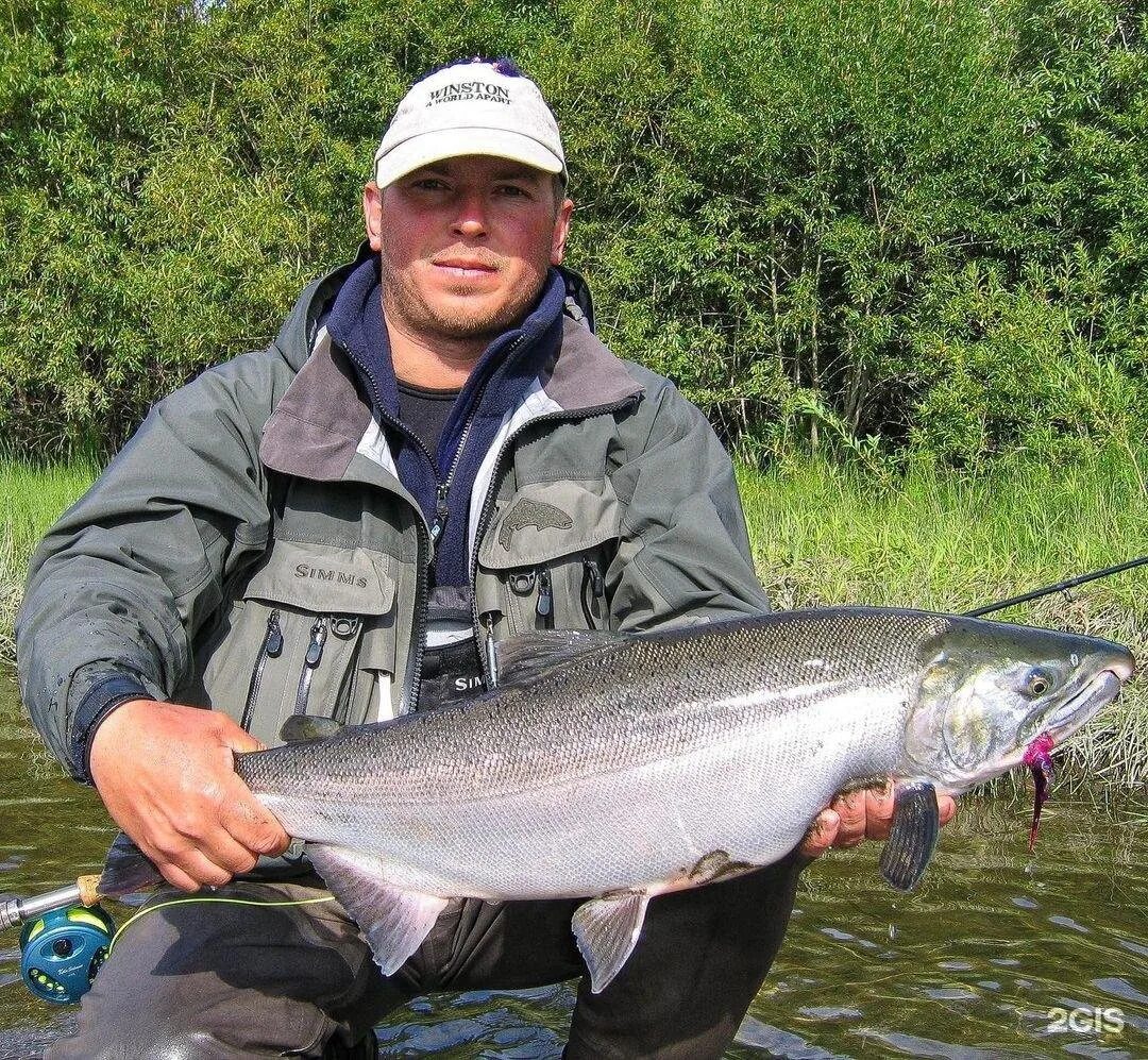 Кетов камчатка. Река большая камчатка рыбалка кижуча. рыбалка кижуч камчатка. река большая чавыча. кета рыба камчатка.