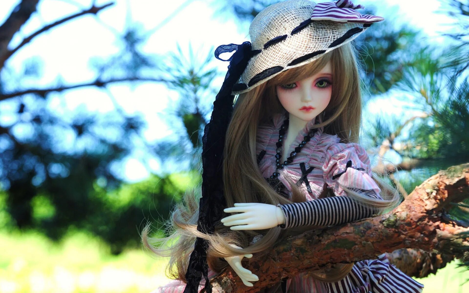 Download wallpaper bench, toys, doll, section miscellanea in resolution 1920x108
