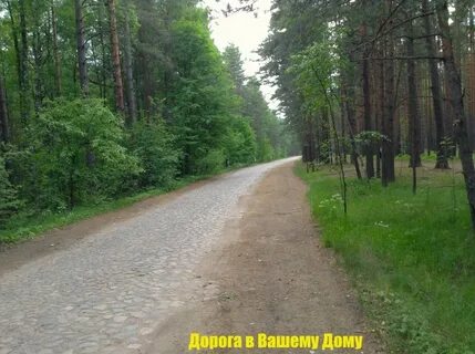 Лебяженское городское поселение ленинградская область