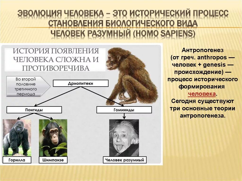 Процесс становления развития человека