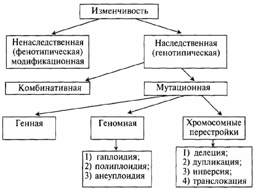 Изменчивость таблица биология. Схема типы наследственной изменчивости. Классификация форм изменчивости схема. Изменчивость классификация форм изменчивости. Формы наследственной изменчивости таблица ЕГЭ.