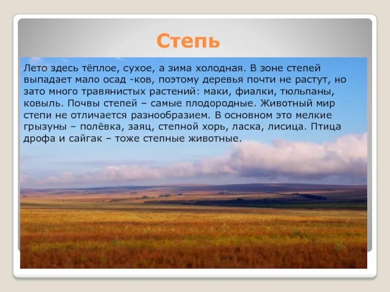 Природная зона презентация 7 класс. Описание степи. Степь природная зона. Характеристика степи. Степь доклад.