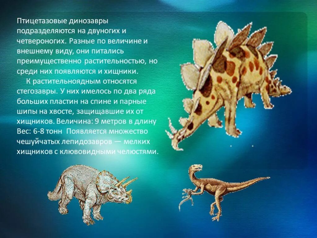 Птицетазовые. Птицетазовые и Ящеротазовые динозавры. Птицетазовые динозавры. Растительноядные динозавры. Стегозавр сообщение.