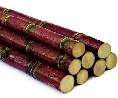 Cane fruit