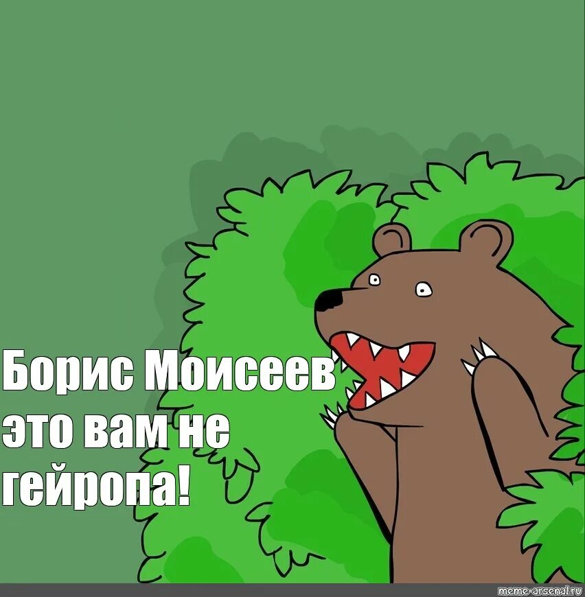 Медведь из кустов. Медведь из кустов алкоголики. шипы медведь из кустов. медведь в кустах профурсетка. медведь в кустах мем.