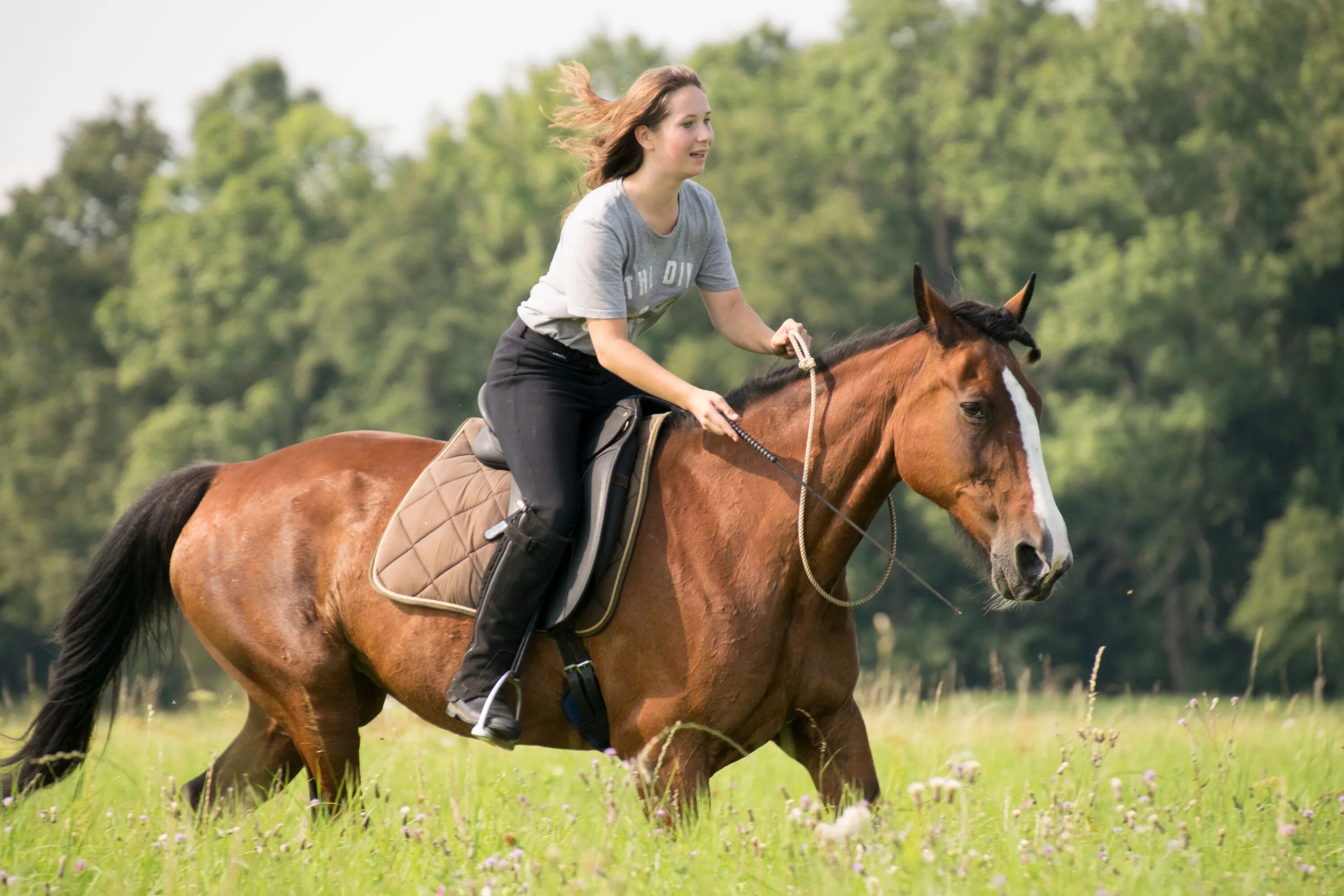 Лошадь сидит. Девушка сидит на коне. Человек на лошади. Девушка сидит на лошади.