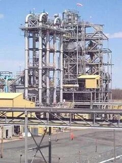 Pp plant