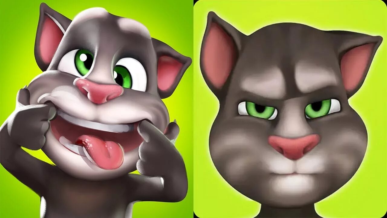 Говорящий том сильный. Talking Tom. My talking Tom 2. Talking Tom 2010. Talking Tom 2013.