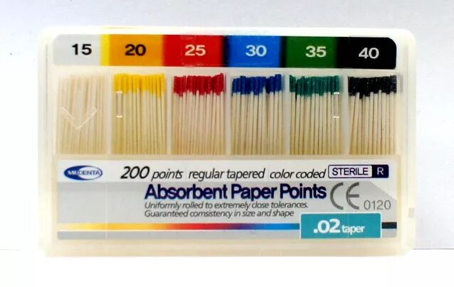 Paper point