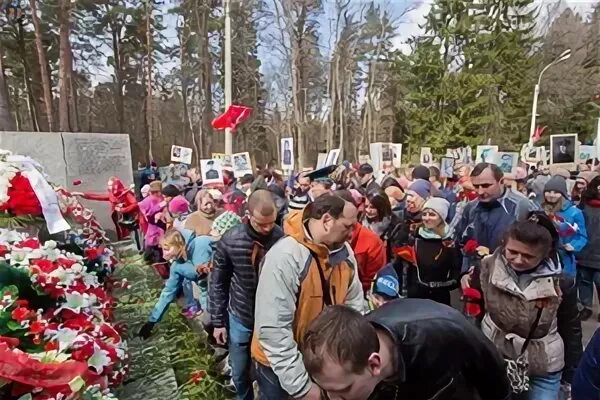 Зеленогорский городской сайт