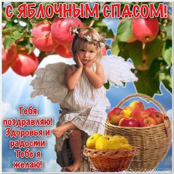 Доброе утро картинки пожелания с яблочным спасом. Яблочный спас. яблочный спас поздравления. с яблочным спасом красивые. открыточку с яблочным спасом.